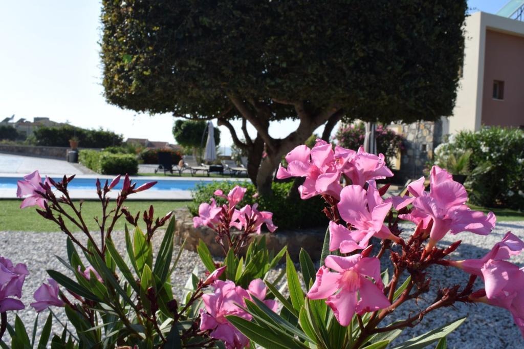 Aroma Villas Hersonissos  Eksteriør billede